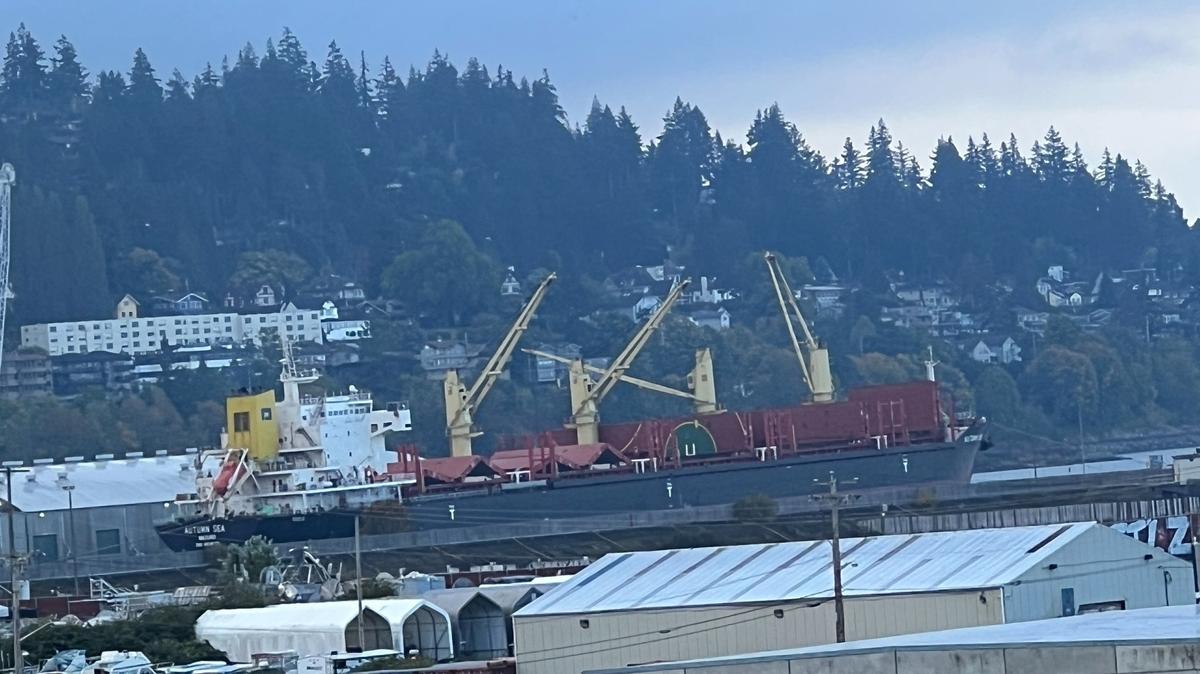 The bulk carrier MV Autumn Sea is shown at the Port of Bellingham shipping terminal on Sept. 20. It was being loaded with 27,500 metric tons of recycled iron and steel to be sent to India, where it will be melted and made into new products.
