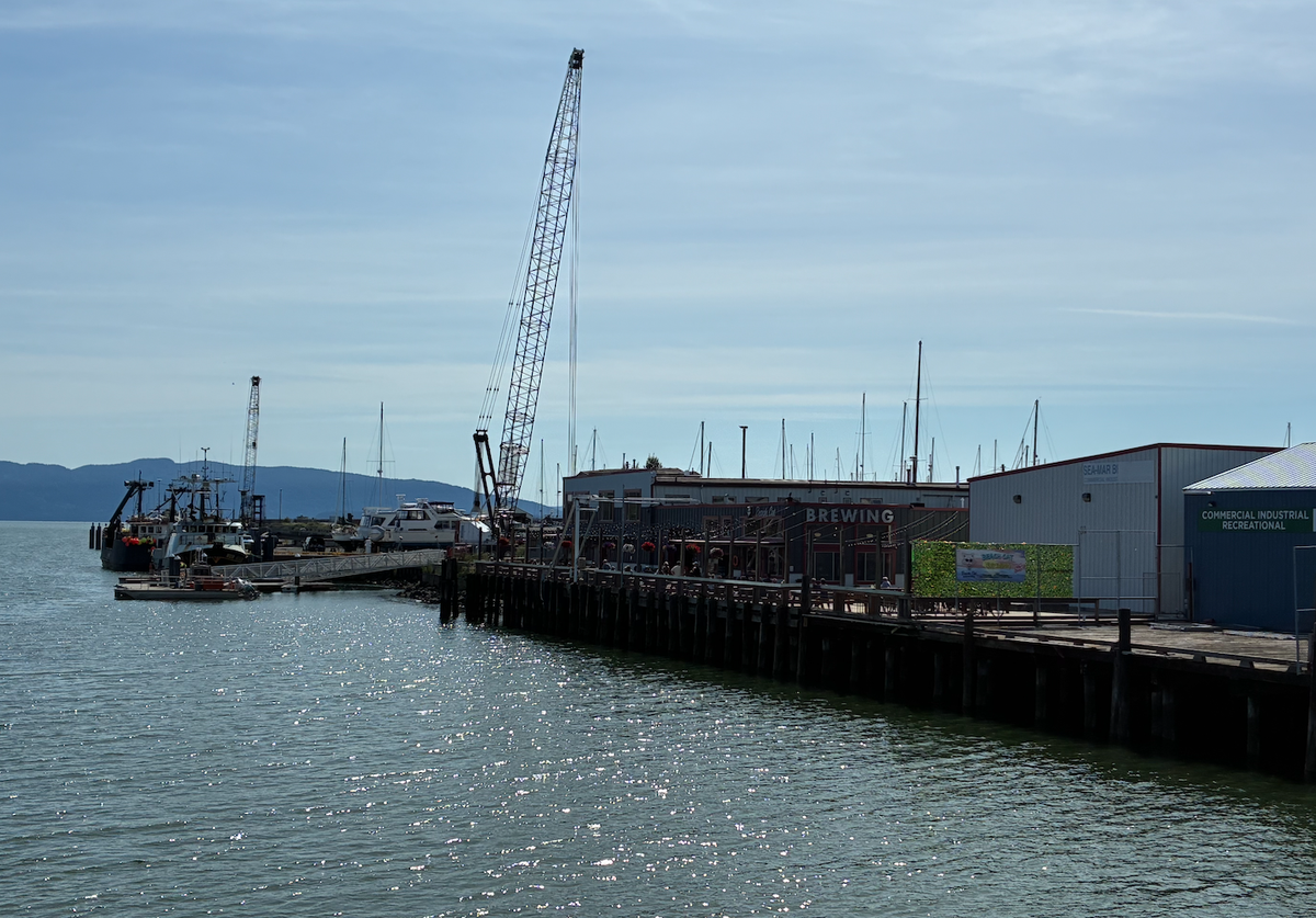 The patio at Beach Cat Brewing is pictured from Roeder Avenue in downtown Bellingham.