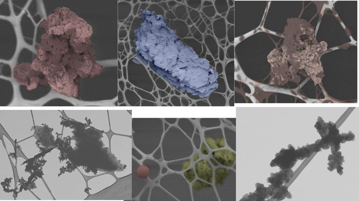 Images of smoke particles from WWU’s scanning electron microscope show, clockwise from top left:  a 1 micron soot particle magnified 30,000 times; 10 micron particle of wood plant debris magnified 8,000 times; 2 micron soot particle coated with tar-like goo magnified 25,000 times; soot and woody debris magnified 15,000 times; a ; 0.7 micron tar ball (the orange sphere) and soot particle magnified 14,000 times; and a 100 nanometer-wide soot particle, magnified 80,000 times. The web-like pattern is the filter used to snare the particles.