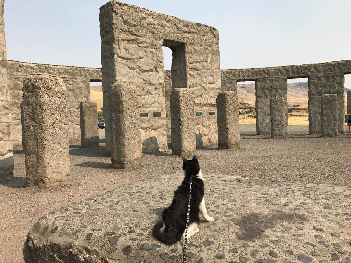 Maverick sits for a picture at Maryhill Stonhenge in Maryhill, Wash.
