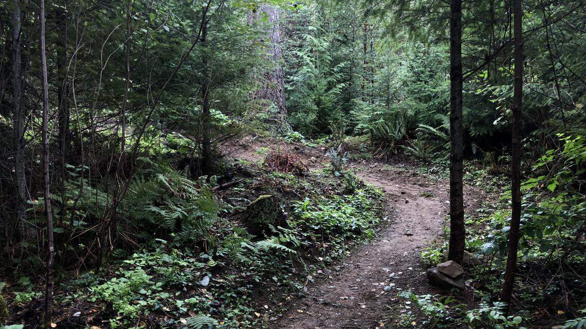 Need to get out this holiday, with or without family? Try these five Whatcom hikes
