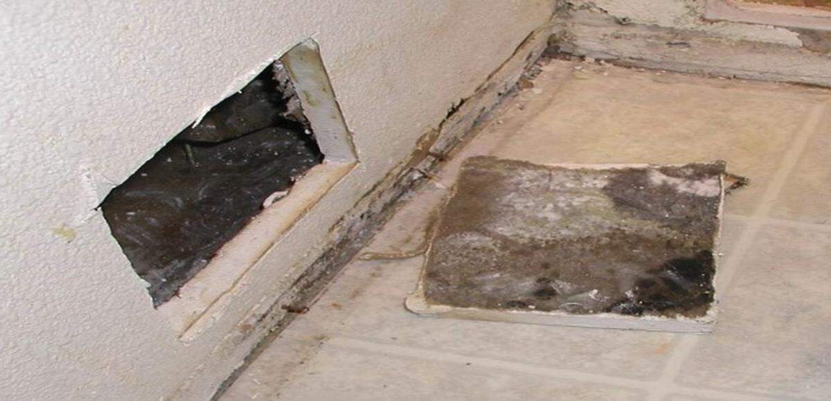 An undated photo shows a saturated wallboard containing mold.
