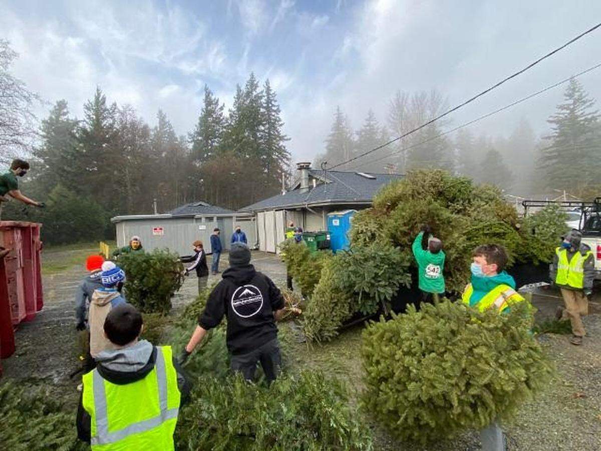 Members of Troop 4007 of the Boy Scouts of American carry Christmas trees to a collection bin as part of their annual Christmas tree pickup.