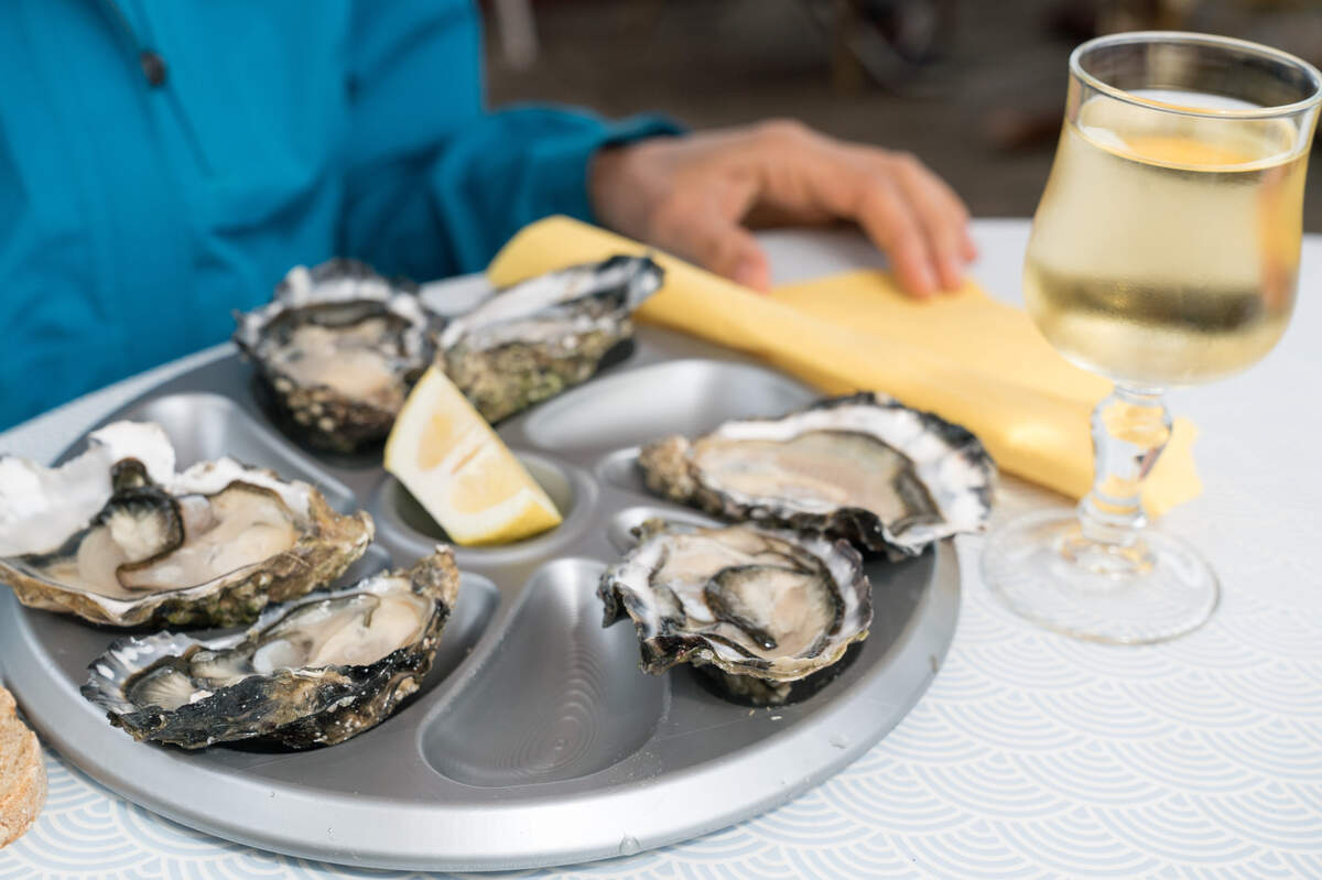 A close up of delicious fresh oysters on the half shell with a glass of French white wine