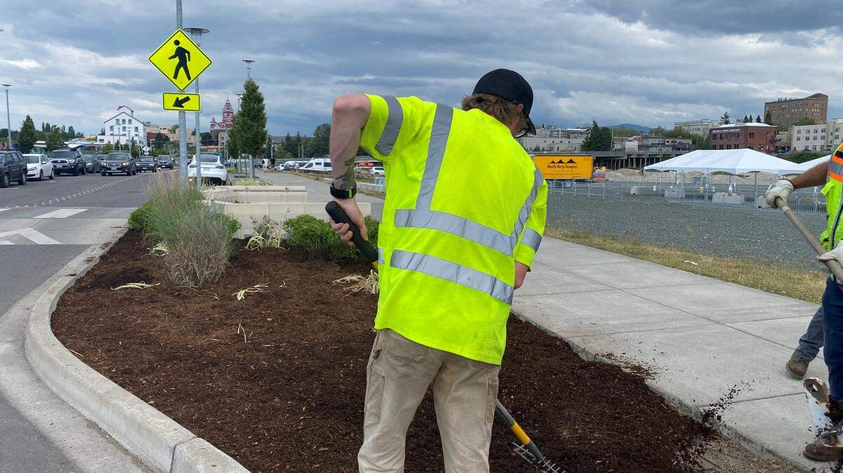 City crews prepare the waterfront site for NW Tune Up festival Friday-Sunday, July 8-10, in Bellingham.