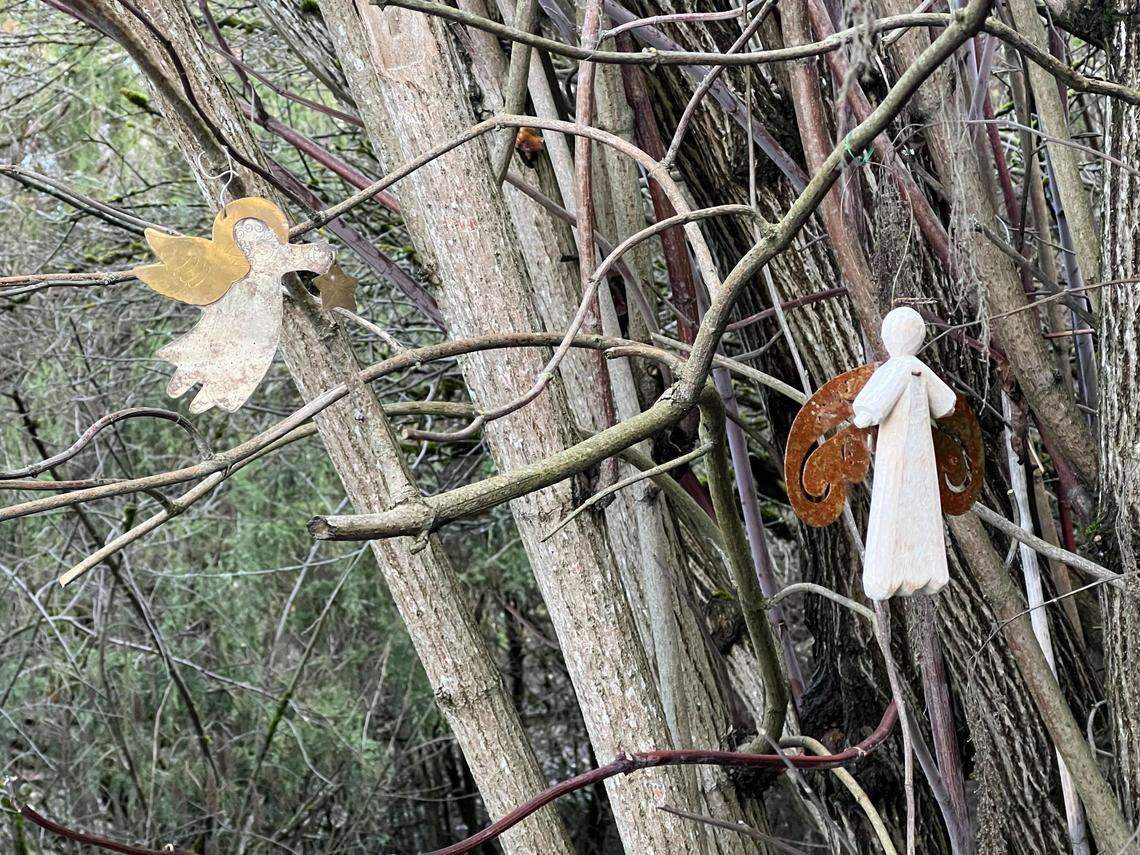 Angel ornaments hang in a tree above Henry King’s memorial bench at Boulevard Park in Bellingham, Wash. King was a formerly unhoused and well-loved community member who was shot to death on the boardwalk between Boulevard Park and Taylor Dock on March 12, 2023.
