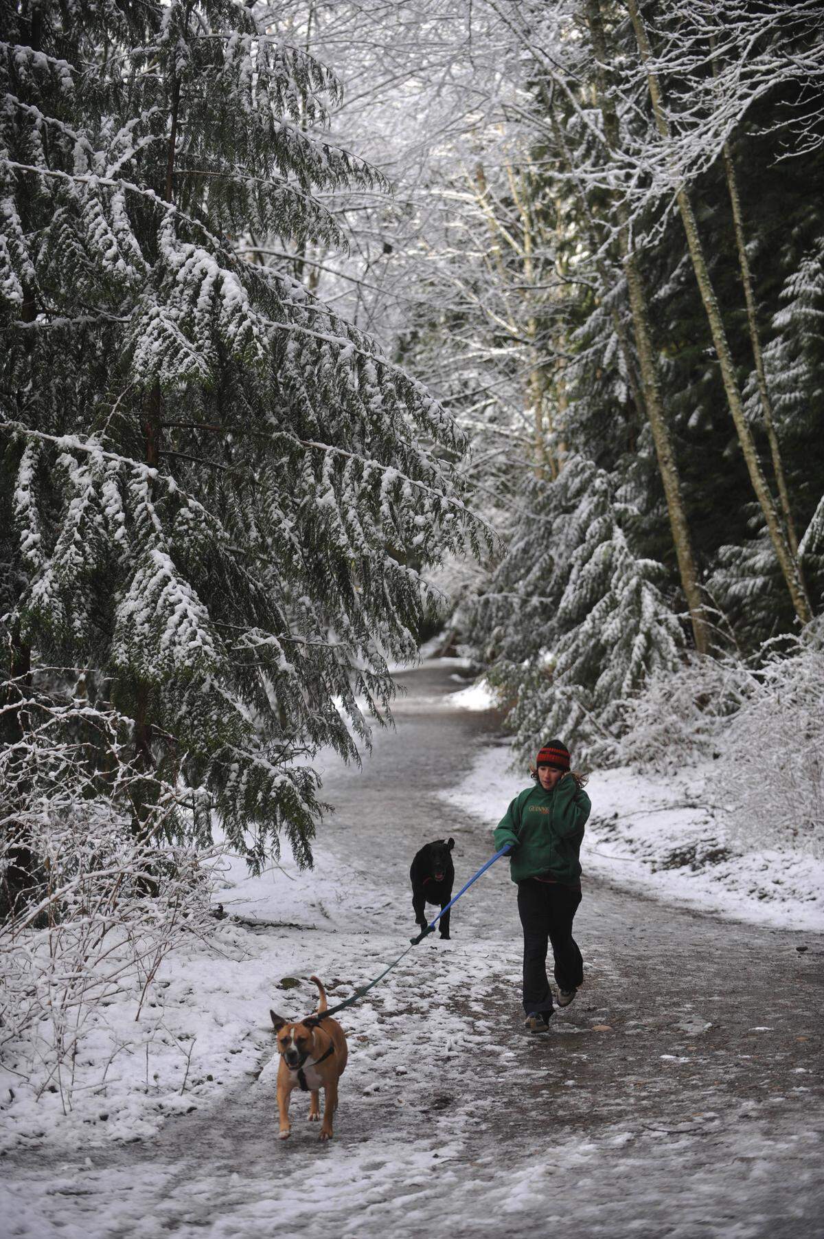 Cecelia Harrington runs through Whatcom Falls Park with her dogs Daxter, left, and Dakota in the snow in Bellingham in 2011. “ It’s like a winter wonderland, “ said Harrington.