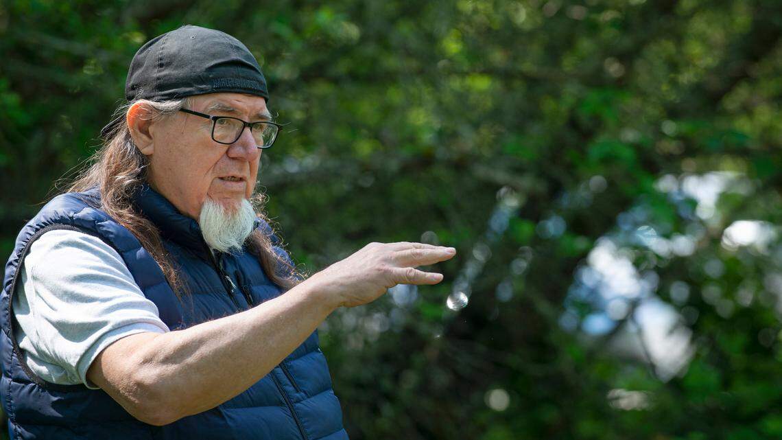 Forest protections are essential for a healthy ecosystem | Opinion