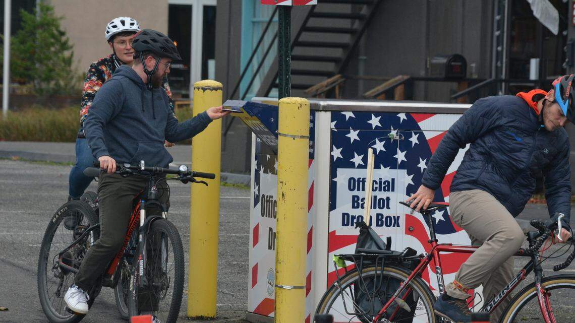 Ballots in the mail: Primary includes two County Council seats, library tax