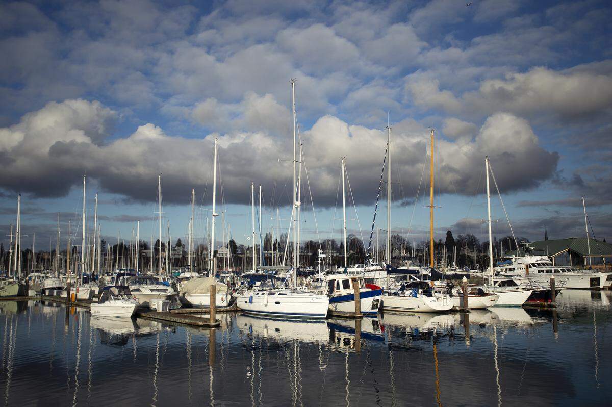 Bellingham police arrested a suspect in a boat burglary last week but said there is no way to determine whether the man was responsible for a recent string of reported incidents at Squalicum Harbor.