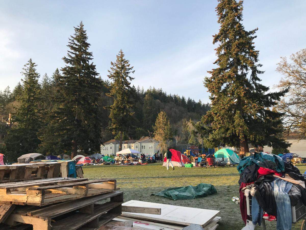 About 30 tents put up by homeless people are scattered around the perimeter and near the play structure at Laurel Park on Wednesday, March 17. The park is surrounded by homes along Billy Frank Jr., Laurel and High streets in Bellingham.