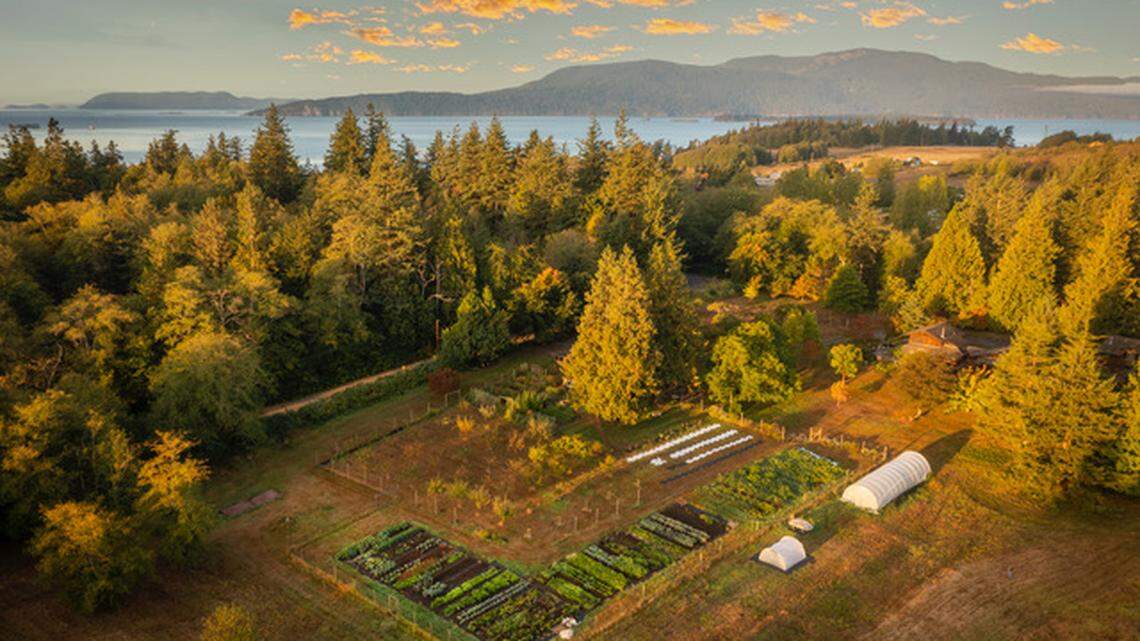 Full Bloom Farm on Lummi Island, Wash., uses about one acre of land for vegetable and cut-flower production and two acres for fruit orchards.