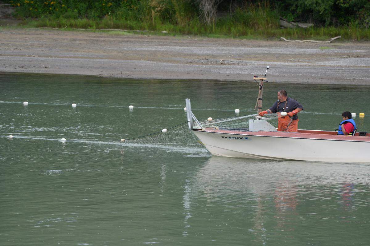 Lummi tribal members cast their net to fish on the Nooksack River on Aug. 21, 2024, near Bellingham, Wash.