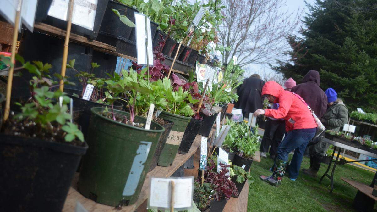 The Native Plant Sale in 2014 included educational booths and a wide variety of “conservation grade” plants, which means they are graded on their ability to survive, not on just their ornamental value.
