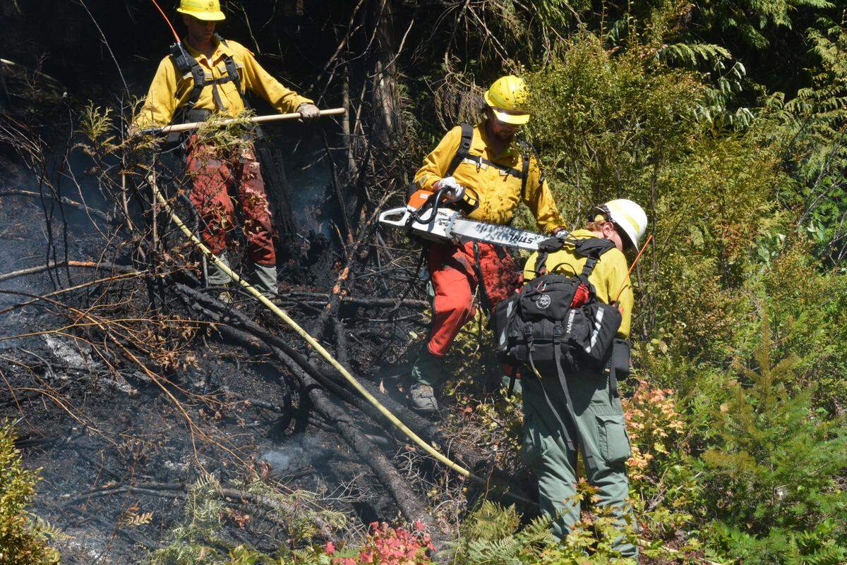 A state Department of Natural Resources wildland firefighting crew cuts brush at the edge of the fire line east of the entrance to Stimpson Family Nature Reserve on Monday.