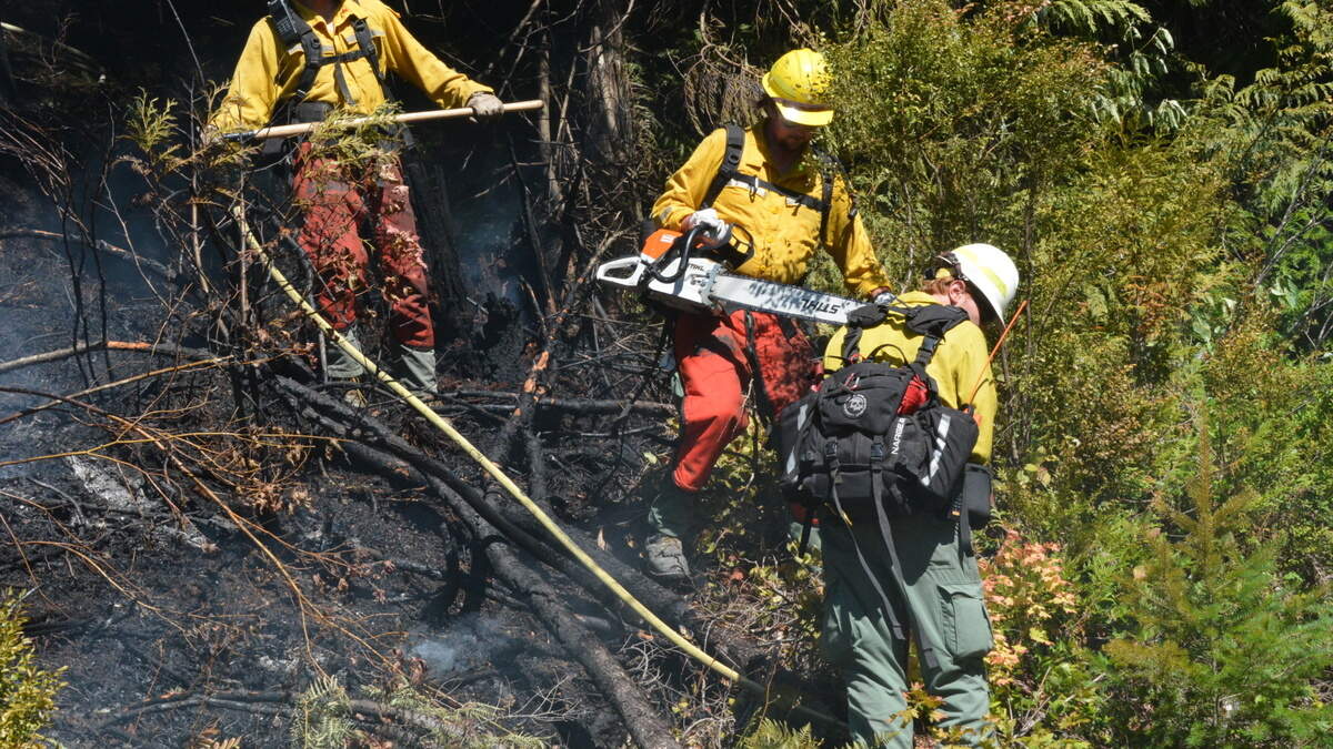 A Washington Department of Natural Resources wildland firefighting crew cuts brush at the edge of the fire line east of the entrance to Stimpson Family Nature Reserve near Bellingham in 2023.