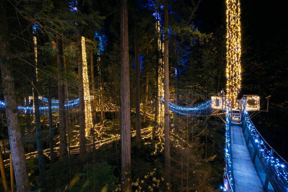 The Treetops Adventure at Canyon Lights Capilano Suspension Bridge Park in Vancouver, BC.