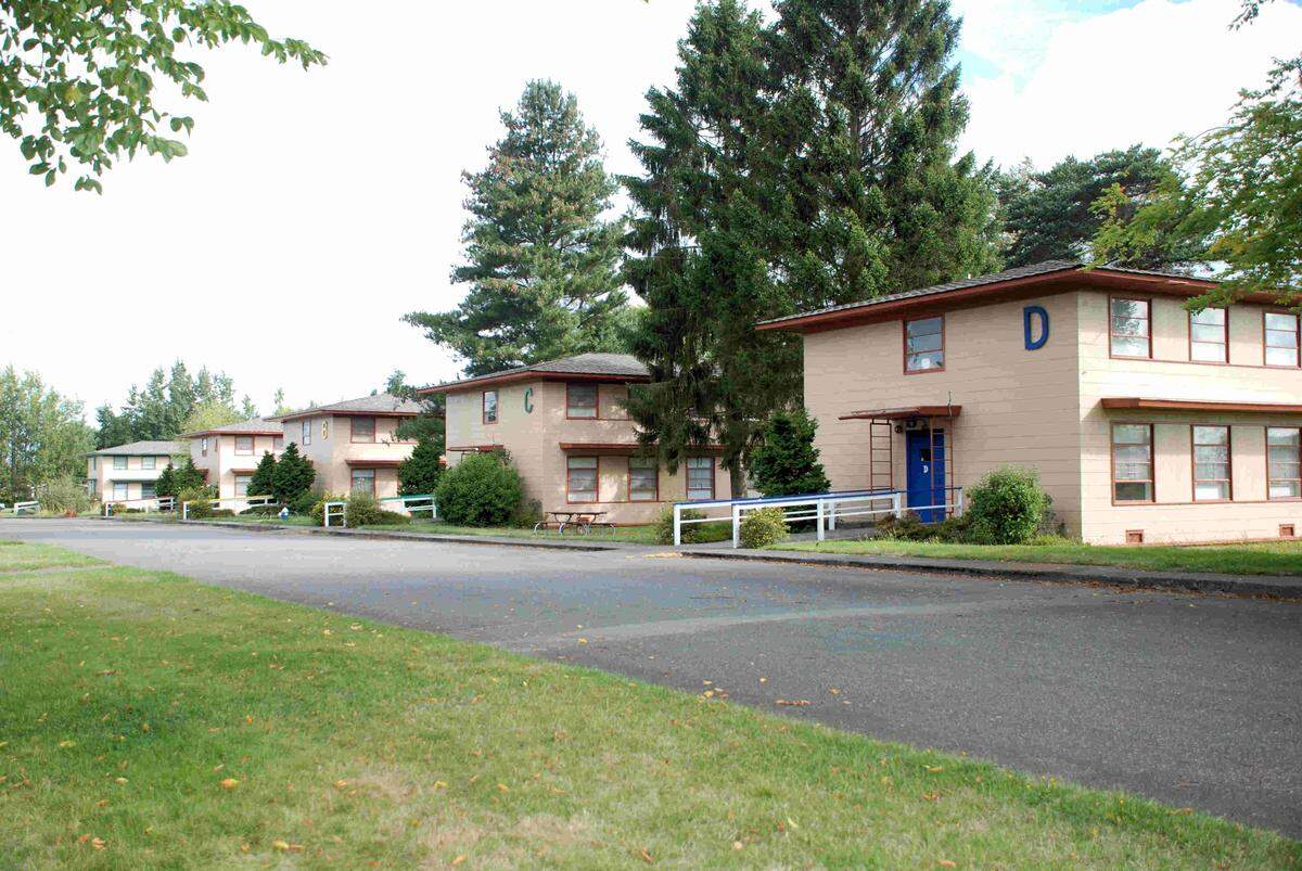 Vandals reportedly caused between $12,000 and $15,000 worth of damage Tuesday afternoon to the Lions Camp Horizon for special needs adults in Birch Bay by spraying a fire extinguisher inside three dormitories.