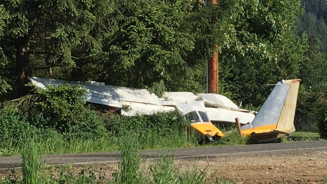 A small plane crashed into hedges along a driveway in the 6800 block of Goodwin Road in Everson Monday afternoon. The plane stopped about 50 feet from its hanger.