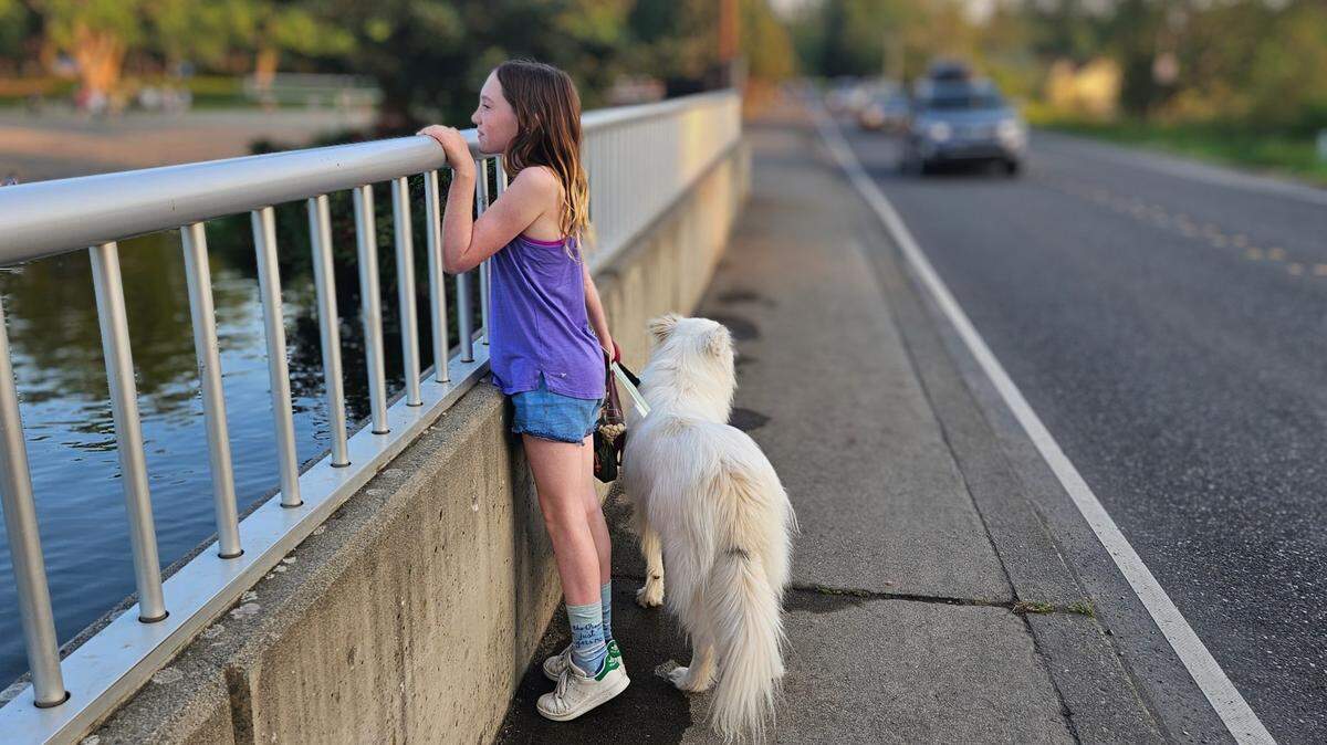 A girl looks over the Electric Avenue bridge in an undated handout photo. The bridge, which crosses Whatcom Creek near Bloedel-Donovan Park, was built in 1959. City officials closed the bridge on Monday, June 3, 2024, after it failed a safety inspection.
