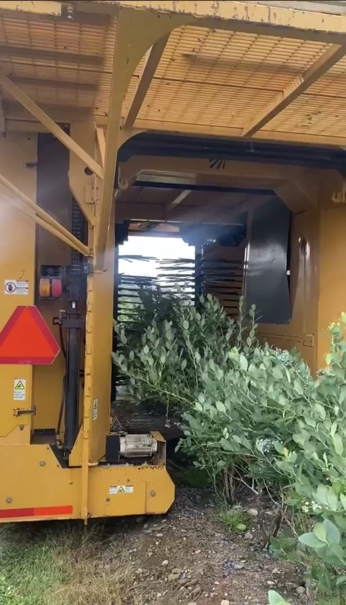 A machine used to collect the blueberries as someone drives it across the field.
