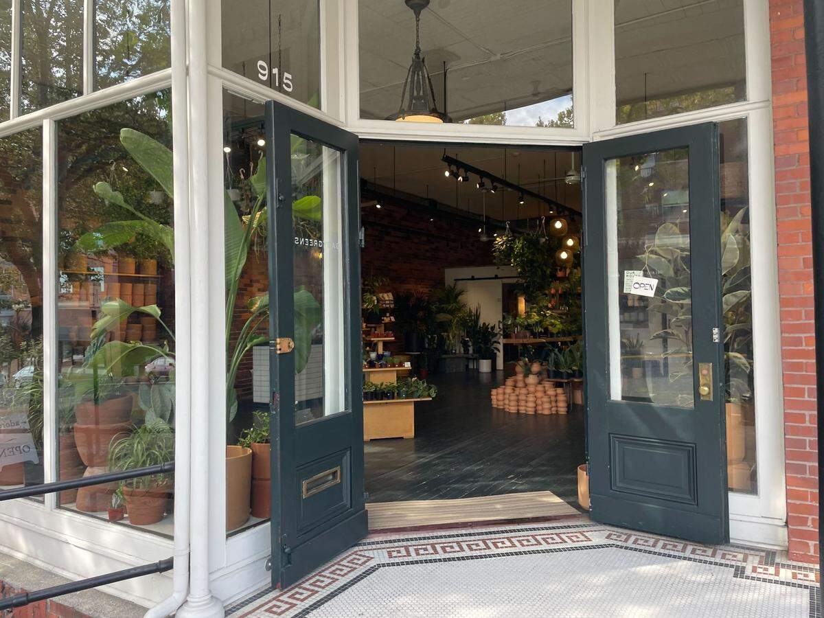 The babygreens plant shop at 915 Harris Ave. in the historic Fairhaven neighborhood of Bellingham.