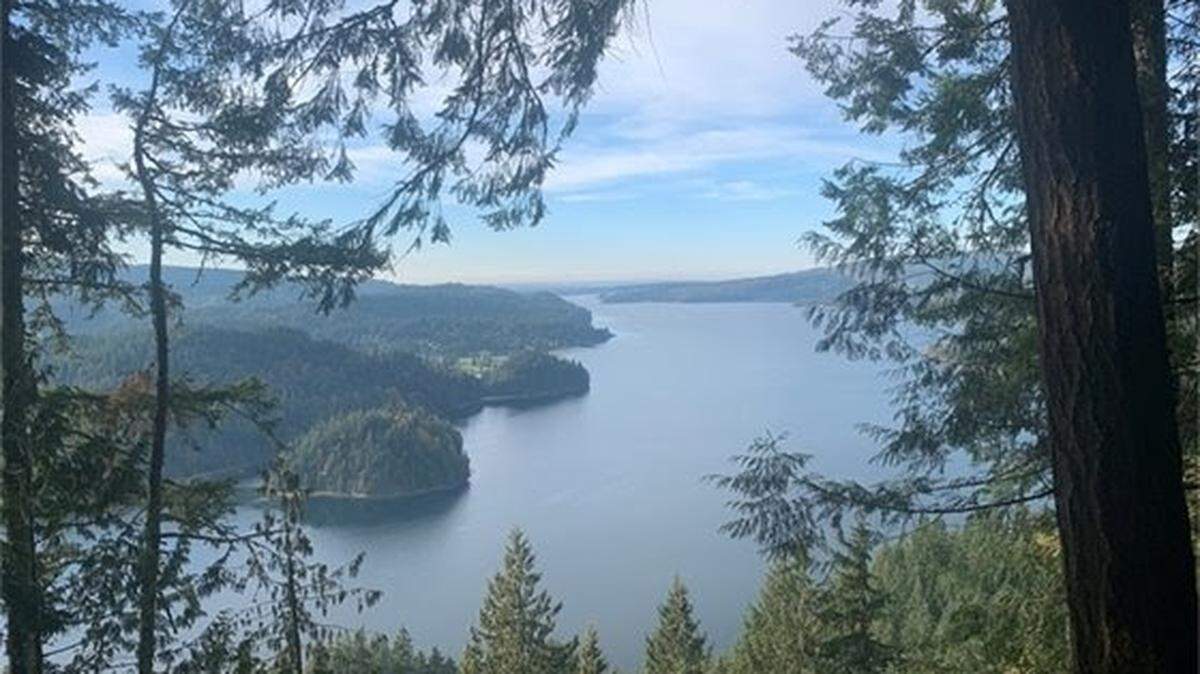 A view of Lake Whatcom from the Chanterelle Trail.
