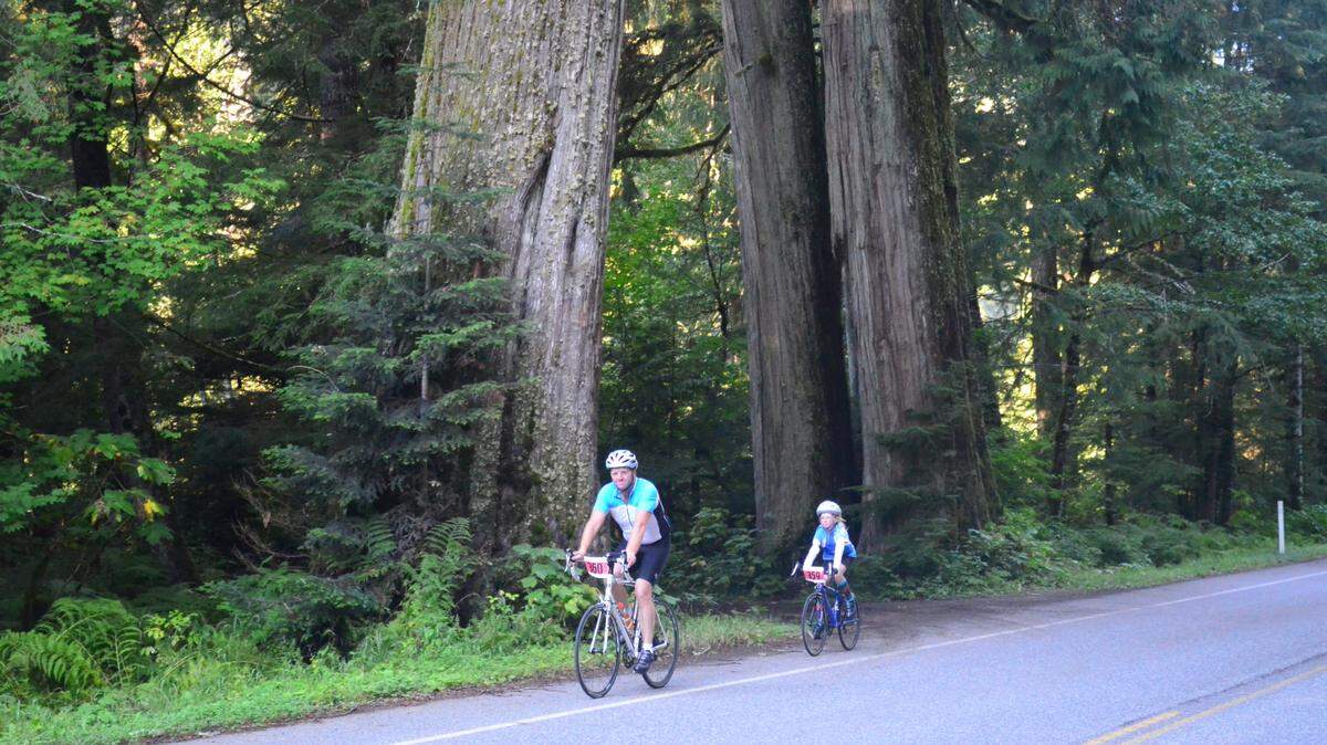 Cyclists travel along the Mount Baker Highway in September 2013.