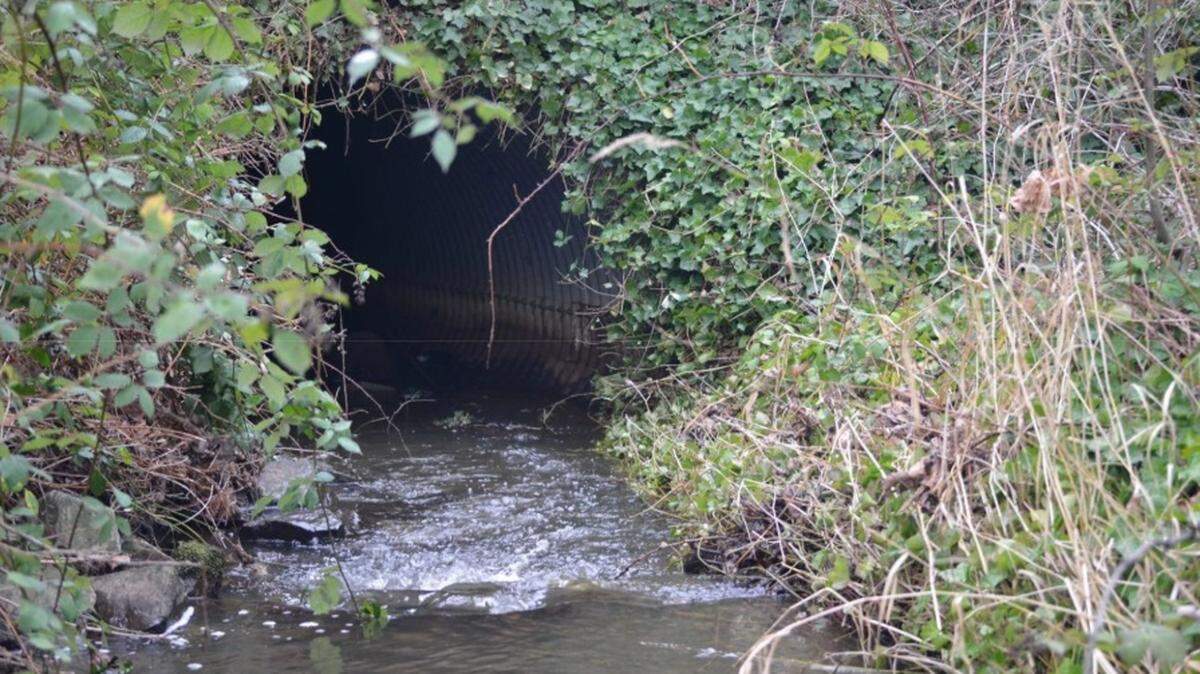 A culvert where Baker Creek flows under Interstate 5 at the northbound off-ramp to Meridian Street will be replaced as part of a separate fish passage project north of Bellingham.