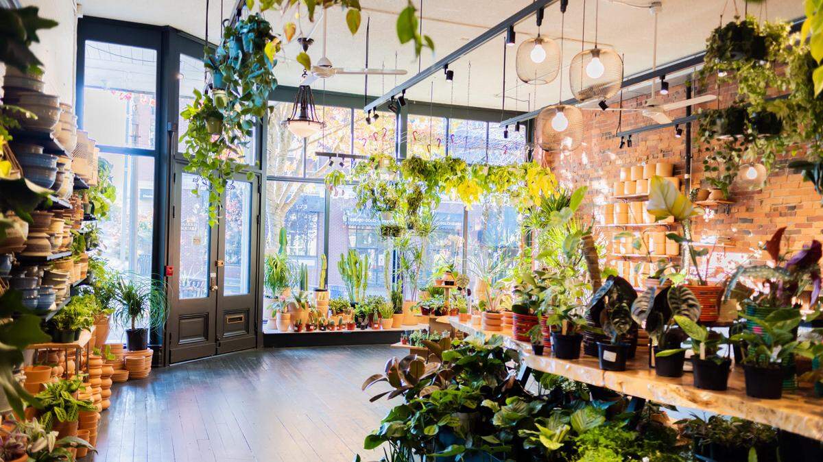 Nick Meza’s babygreens plant shop moved from downtown Bellingham to Fairhaven in 2022.