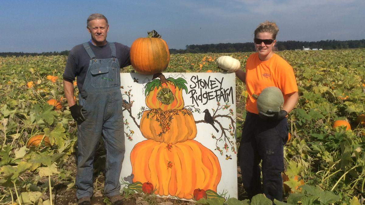 Derek Gavette and his daughter, Elizabeth, at the Stoney Ridge Farm pumpkin patch near Everson. After taking two years off, Derek and Debi Gavette have decided to open a portion of the farm to the public during three weekends in October. They are bringing back several of the things that made the farm a popular fall destination spot, including the train ride, corn maze and wagon rides. The pumpkin patch and apple trees will also be open for u-pick.