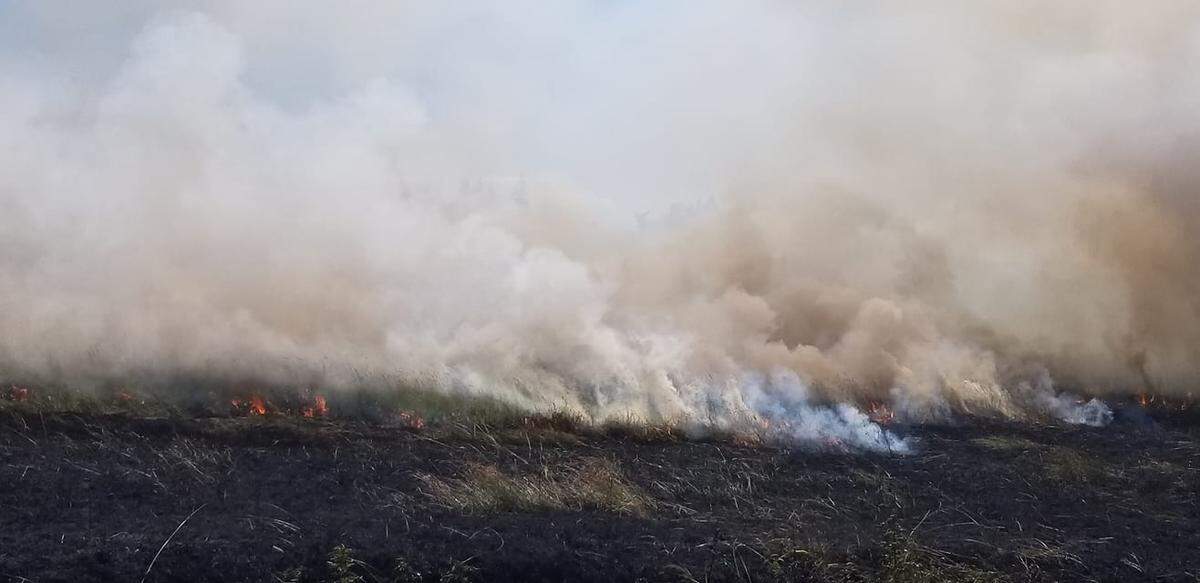 North Whatcom Fire and Rescue and Whatcom County Fire District No. 7 are battling a series of fires east of Birch Bay Friday afternoon.