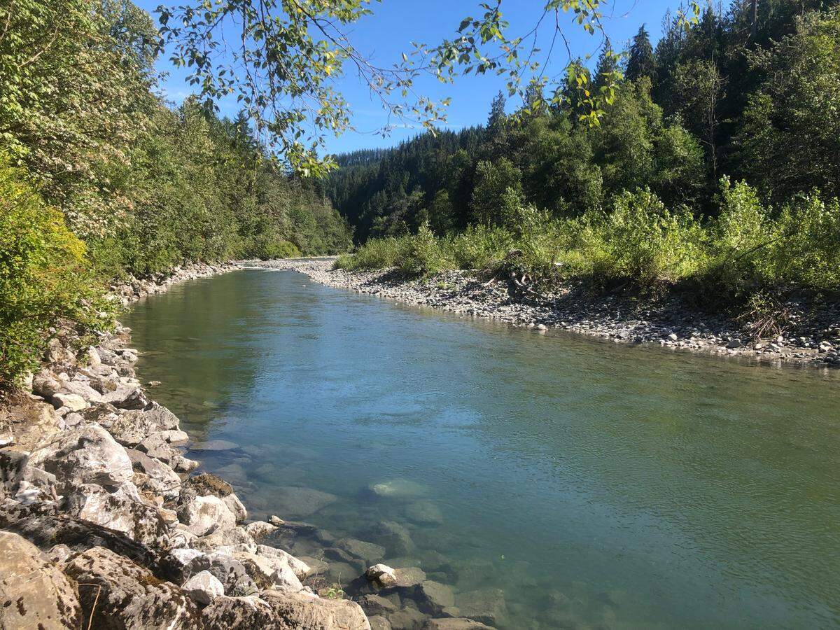 The south fork of the Nooksack River Saturday, Aug. 6, 2022, in Whatcom County, Wash.