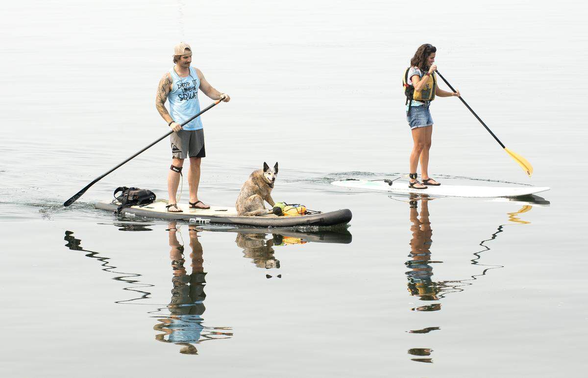 Alex Petterson, left, and Morgan De Marco ride stand-up paddleboards through wildfire smoke with Jack, an Australian cattle dog, near Taylor Dock on Tuesday in Bellingham.