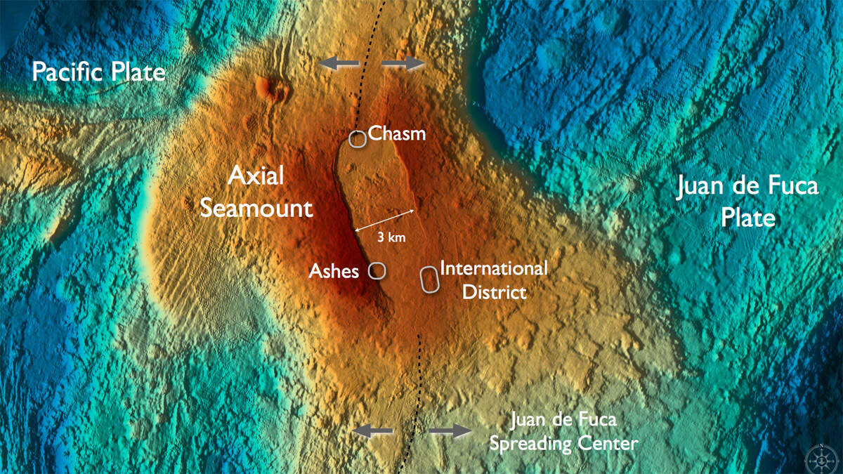 Axial Volcano hosts numerous hydrothermal fields and sites of diffuse flow that support dense animal and microbial communities.