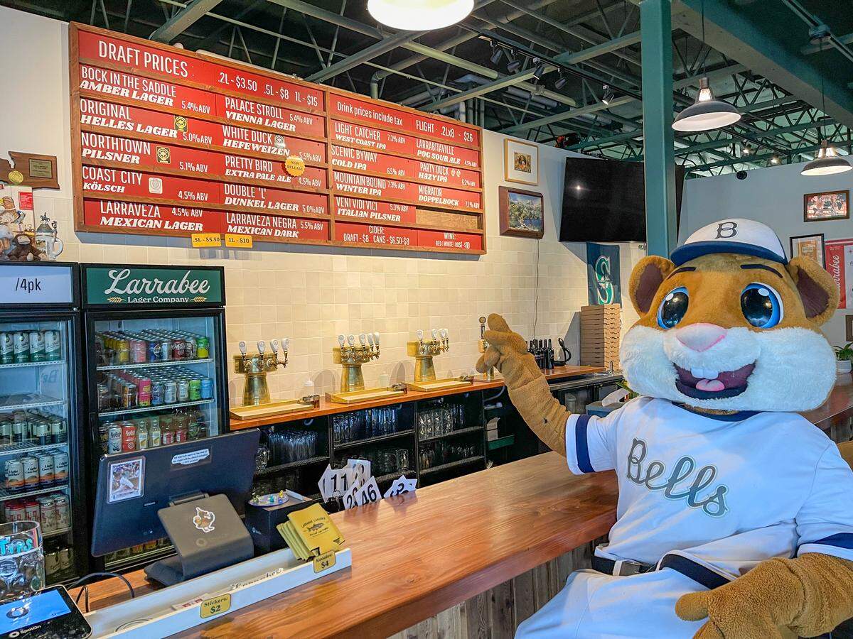 The Bellingham Bells Mascot, Dinger the Bellinghamster, at Larrabee Lager Company, at 4151 Guide Meridian Rd #100, Bellingham, Wash.