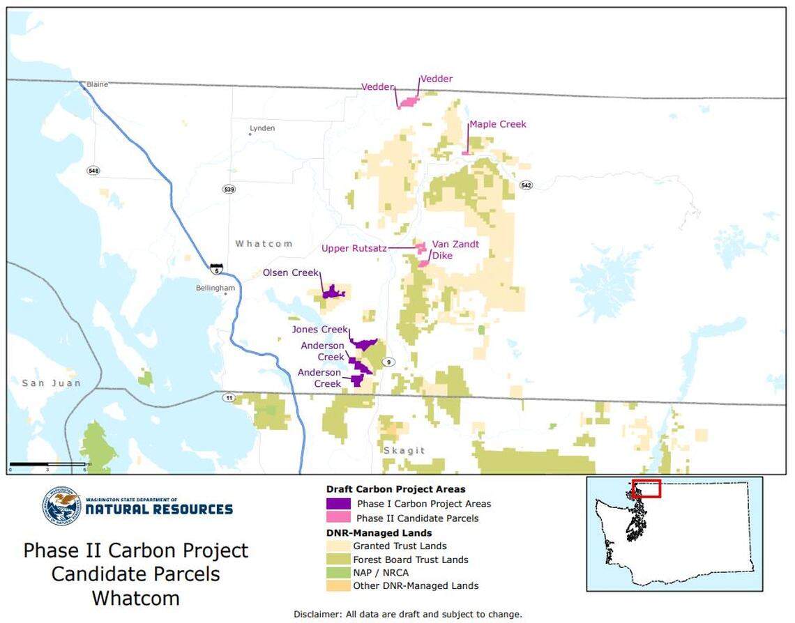 Washington State Department of Natural Resources map shows in pink four sites in Whatcom County being considered to include in phase two of the state’s plan to lease forest land for carbon offsets rather than logging. Phase one sites are shown in purple.