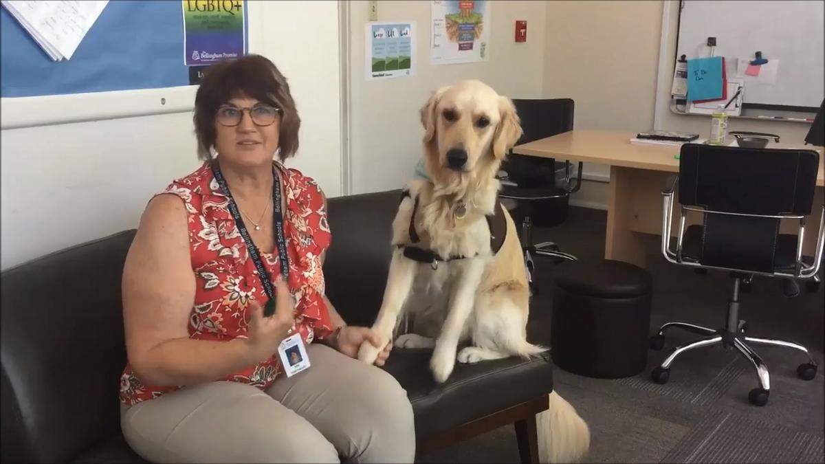 Principal Lynn Heimsoth and her trained therapy dog Sukha worked with students at Sunnyland Elementary School in Bellingham. They were shot to death, allegedly by her husband Kevin Heimsoth, at home west of Bellingham on Dec. 26. Whatcom County Sheriff’s deputies were called to the home for a report of a murder-suicide.