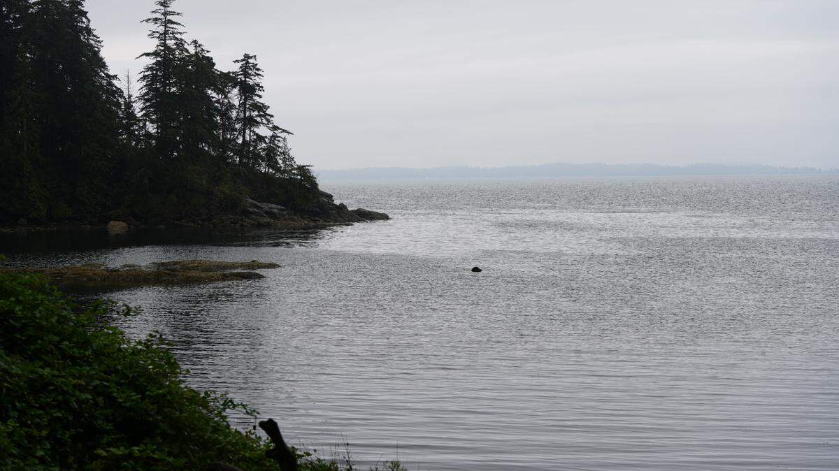 Larrabee State Park on August 23, 2024.