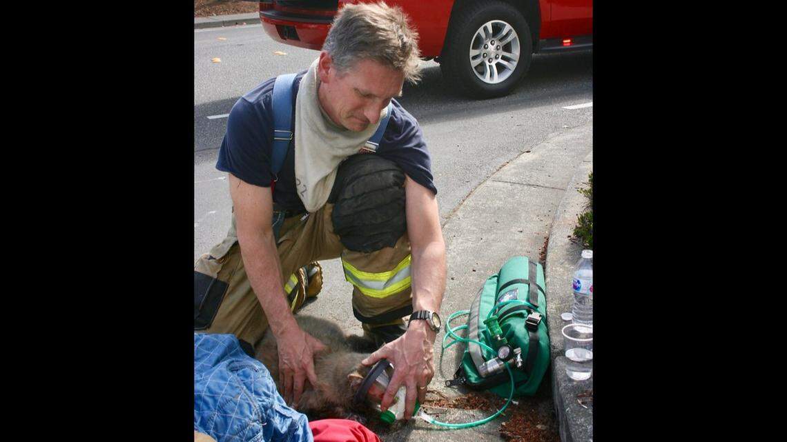 Three people and one cat treated after two-alarm Bellingham apartment fire
