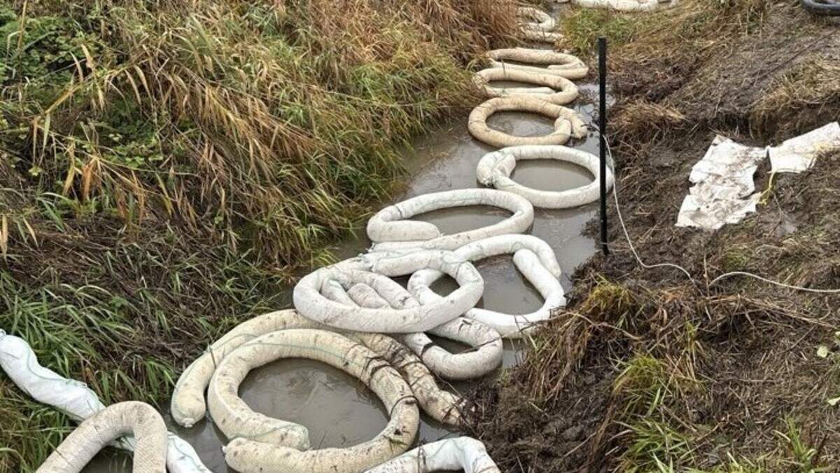 Over 2,000 gallons of petroleum spilled following a leak in the Olympic Pipeline. The leak was discovered in an agricultural zone near Everett. Oil recovery booms and equipment were used by responders to clean and contain the spill.