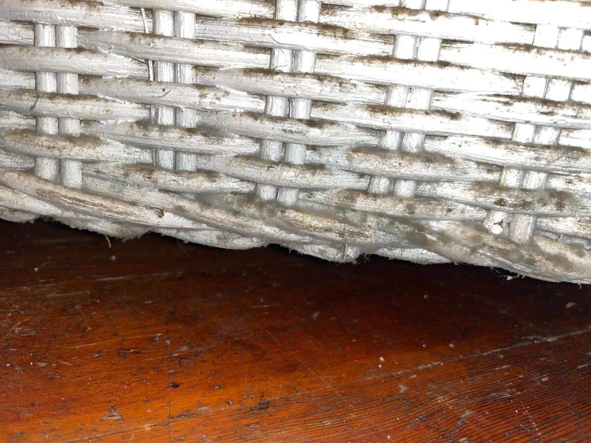 Mold growth is seen on the back of a dresser in a rental unit on N. Forest Street in Bellingham, Wash.