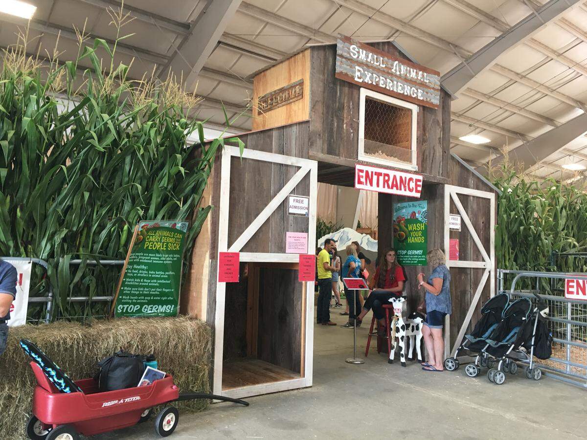 The Small Animals Experience offers fair-goers a chance to interact with small pets at the Northwest Washington Fair in Lynden.