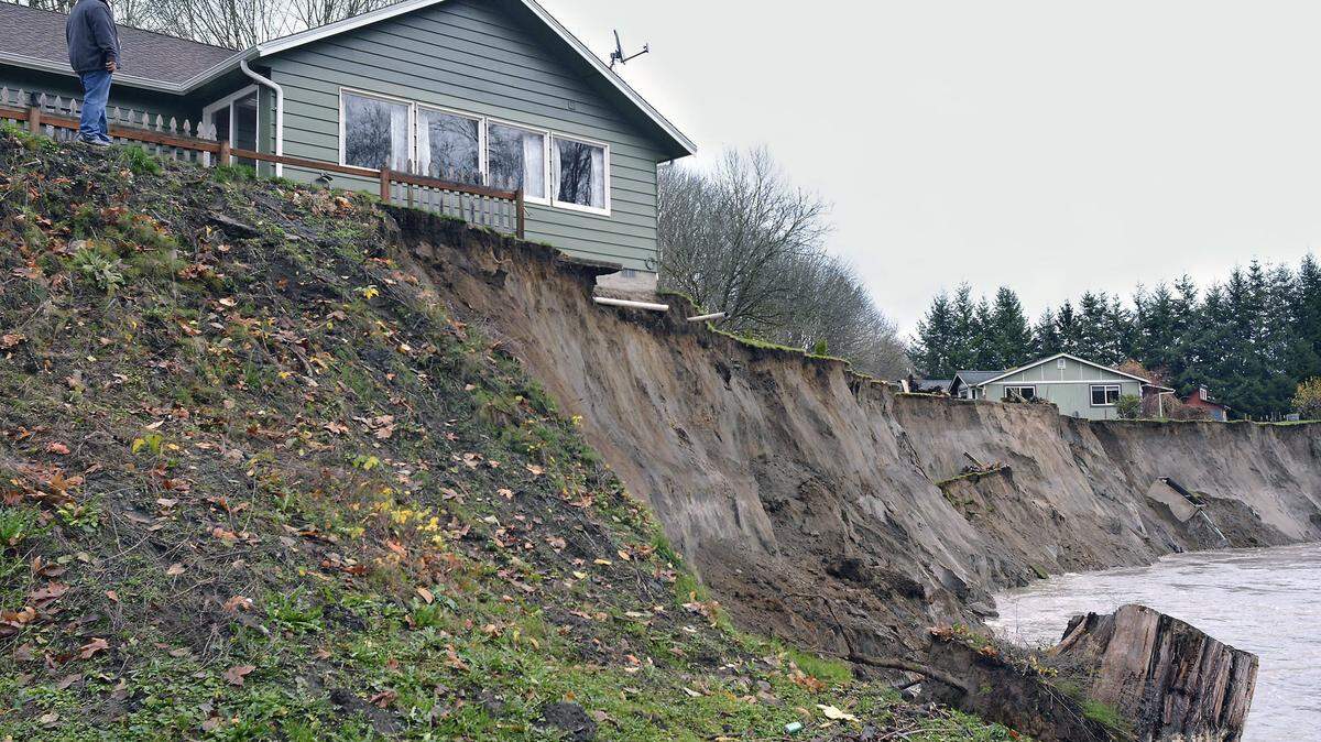 A neighbor looks at the eroded embankment scoured by the Skagit River during the Thanksgiving Day flood in 2017. Homes that were 200 feet from the channel are in danger of falling into the river.