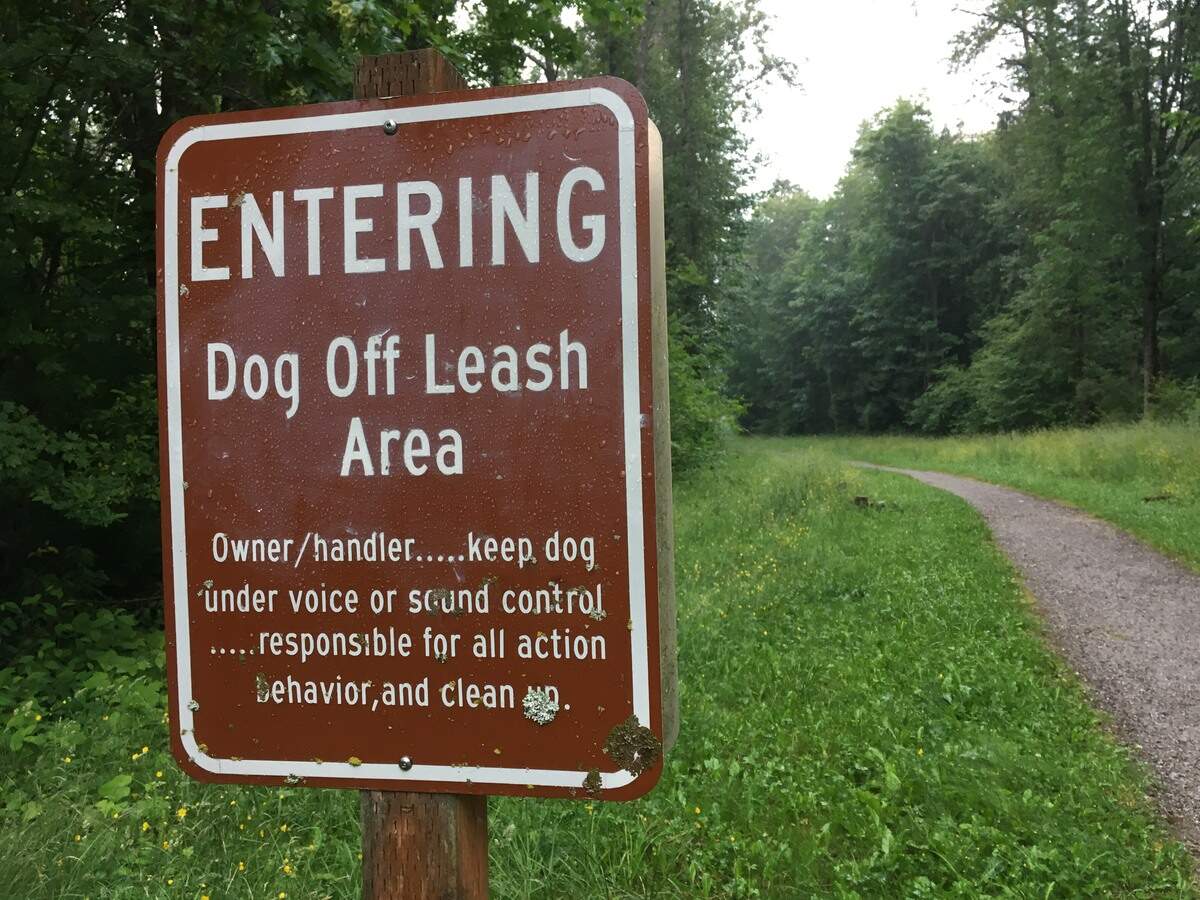 A sign shows dog walkers entering Whatcom Falls Park at the Waterline Trail that dogs can run off-leash, but that they must be under voice command and that owners are responsible for the dog's behavior..