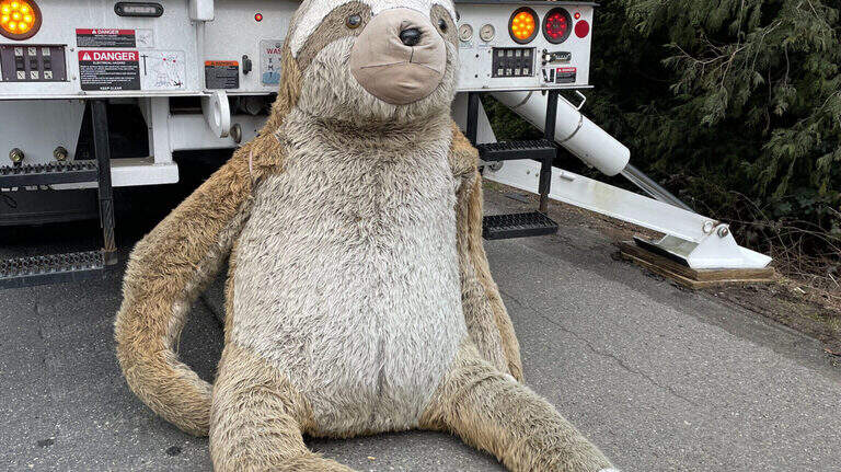 Was Bellingham’s I-5 sloth really distracting drivers? What the data, WSDOT say