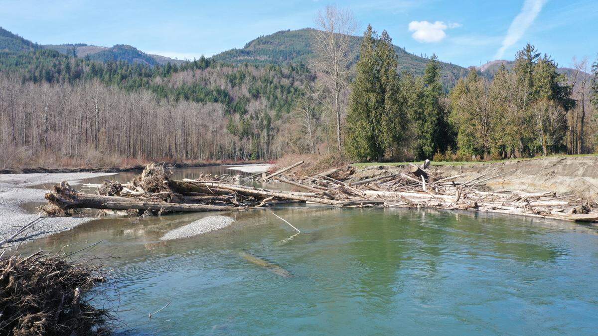 A spring log jam obstructs tubers and boaters on the South Fork of the Nooksack River in June, 2020, in Whatcom County, Wash.
