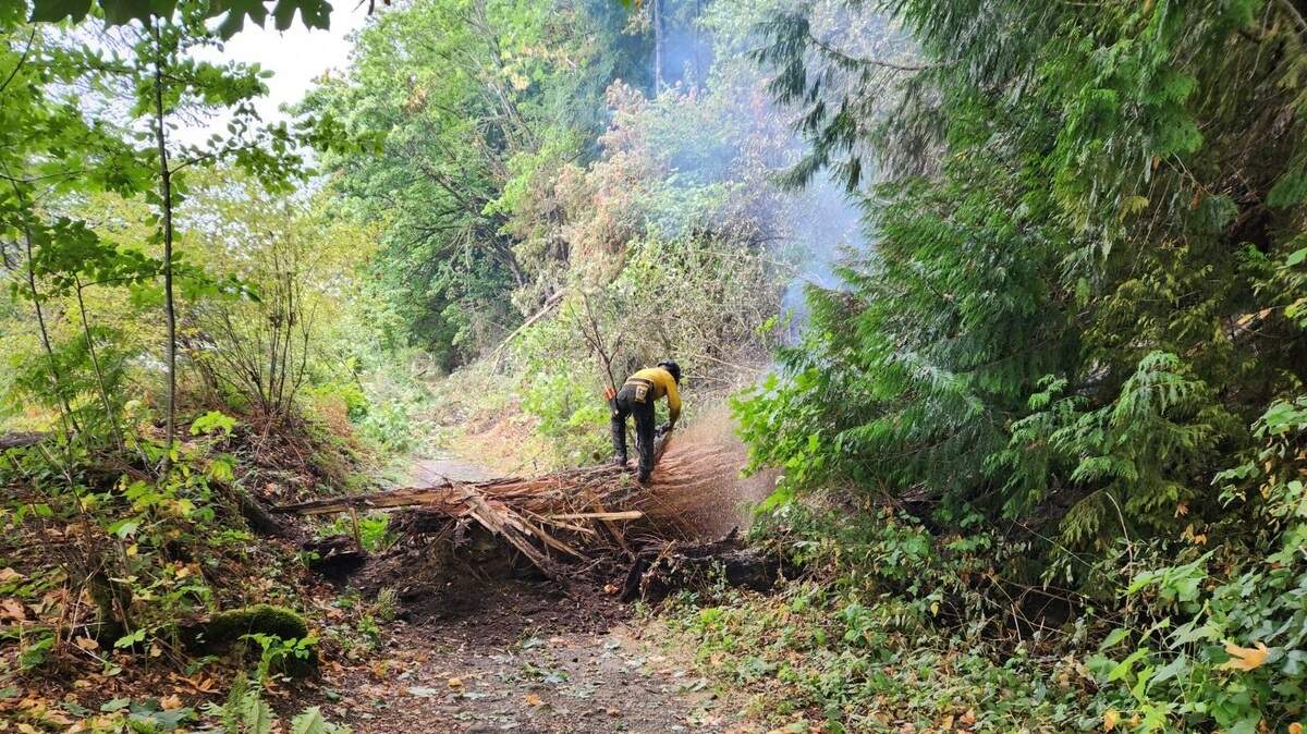 A firefighter at Blue Canyon Road works to create a line to box in the fire. The plan is to prevent the fire from spreading and let it burn itself out.