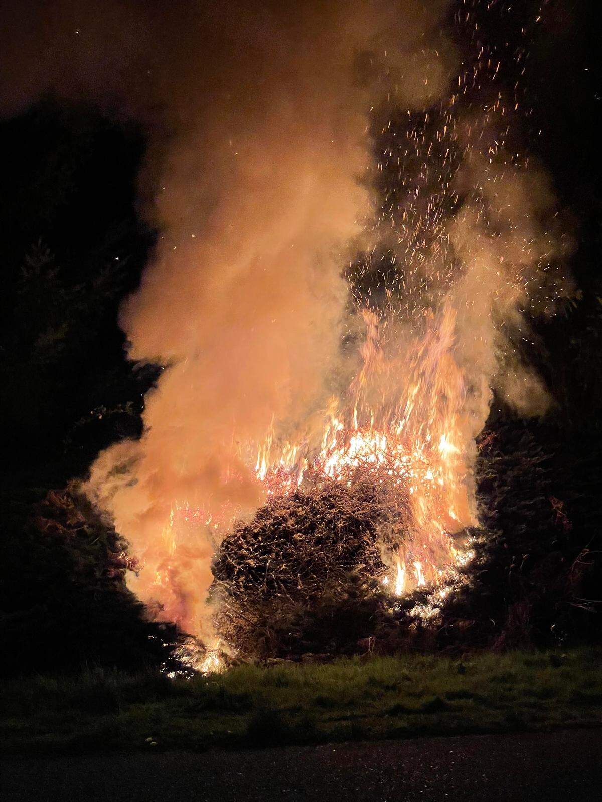 A vegetation fire, believed to be started by fireworks, burned a tree and sent flames nearly 30 feet into the air Tuesday, April 13, in Bellingham’s Samish neighborhood.