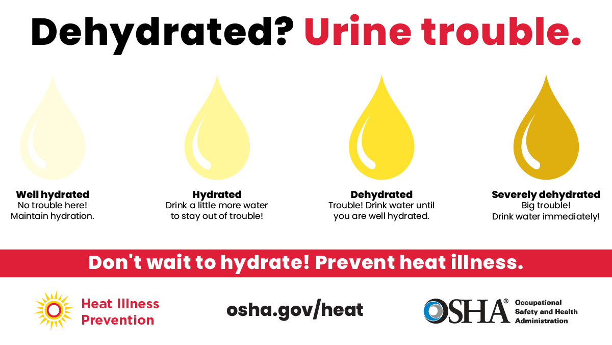 Urine color can be an effective way to monitor hydration levels.